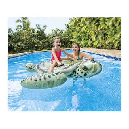 Tortue à chevaucher