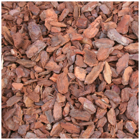 Ecorces décoratives de pin