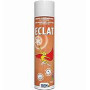 Spray pour meubles Eclat 300 ml Riem