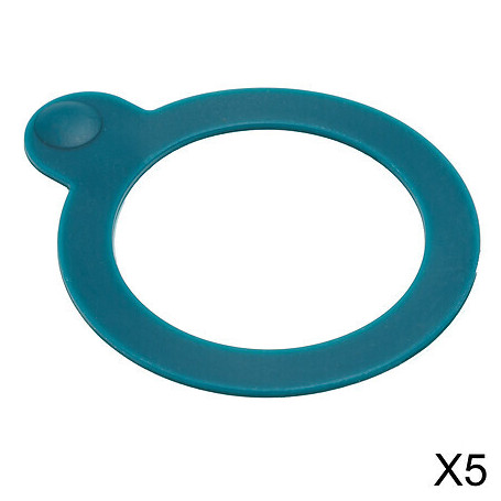 Lot de 5 joints pour bocaux taille L