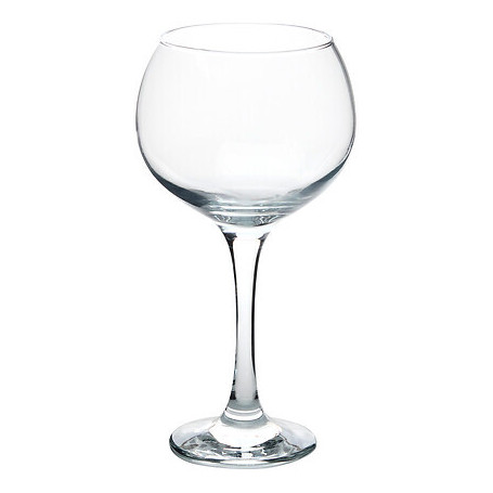 Set de 6 verres à Gin 79 cl