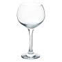 Set de 6 verres à Gin 79 cl