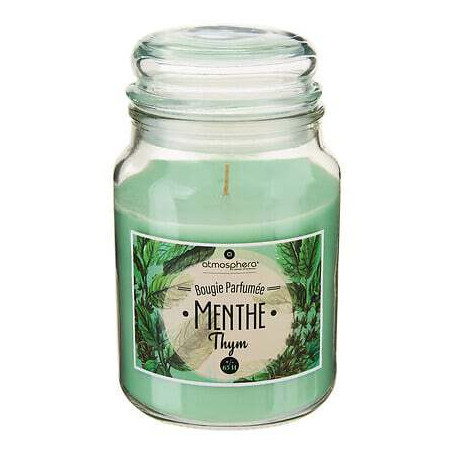 Bougie parfumée Eloa Aroma 490 g pot verre