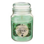 Bougie parfumée Eloa Aroma 490 g pot verre