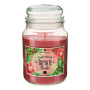 Bougie parfumée Eloa Aroma 490 g pot verre