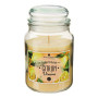 Bougie parfumée Eloa Aroma 490 g pot verre