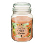 Bougie parfumée Eloa Aroma 490 g pot verre