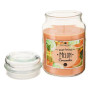 Bougie parfumée Eloa Aroma 490 g pot verre