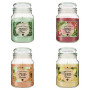 Bougie parfumée Eloa Aroma 490 g pot verre