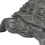 Tortue déco extérieur Francky